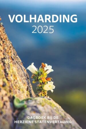 Dagboek: Volharding 2025